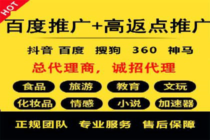 案例研究：如何通过竞价广告实现精准营销